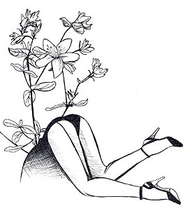 Haz el Amor y no la Guerra