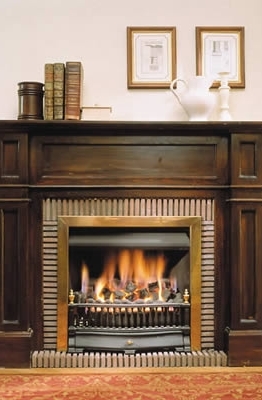 ¿Qué chimenea elegir para tu hogar?