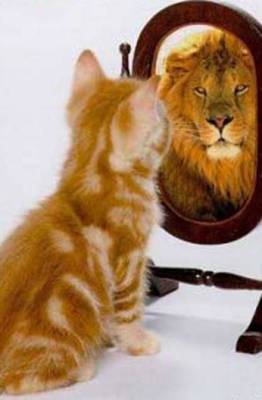 Consejos para aprender a amarse