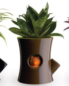 Macetas que avisan cuando debemos regarlas