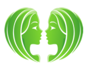 Compatibilidad Piscis Géminis