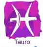 Signo Tauro