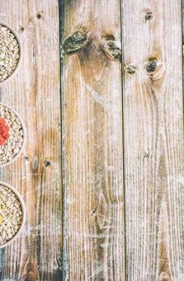 Como decorar con cactus