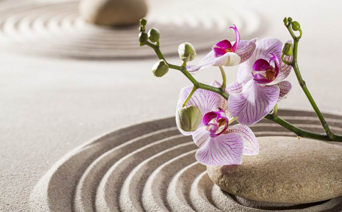 ¿Cómo se relacionan el feng shui y el significado de los números?